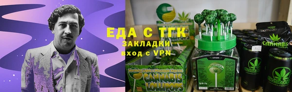 индика Вязники