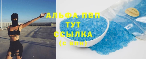 ПСИЛОЦИБИНОВЫЕ ГРИБЫ Вязьма