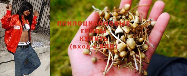 прущая мука Володарск