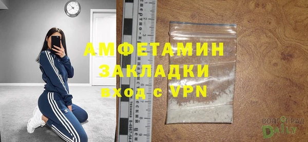 PSILOCYBIN Вяземский