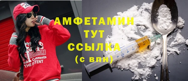 PSILOCYBIN Вяземский