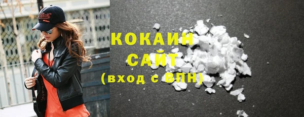 индика Вязники