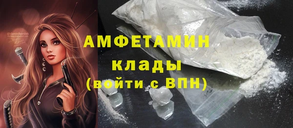PSILOCYBIN Вяземский