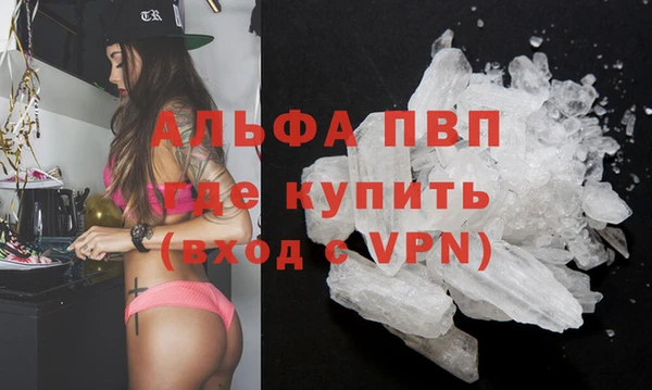 индика Вязники
