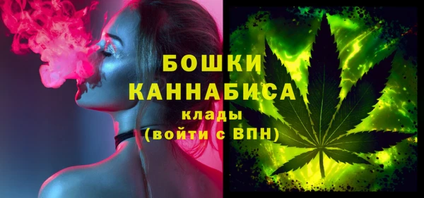 PSILOCYBIN Вяземский