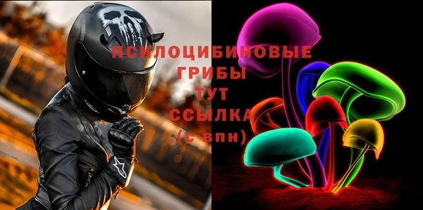 индика Вязники
