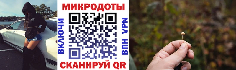Галлюциногенные грибы Cubensis  где можно купить наркотик  OMG как войти  Котовск 